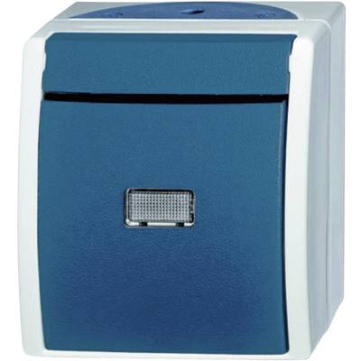 Image of Busch-Jaeger 2621 WGL-53 Wet room switch product range Switch Ocean (surface-mount) Blue, Green