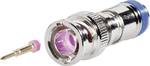 BNC plug connector