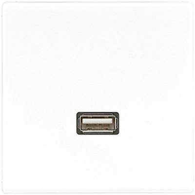 USB port in the centre of a white background, ready to connect devices for data transfer or power supply.