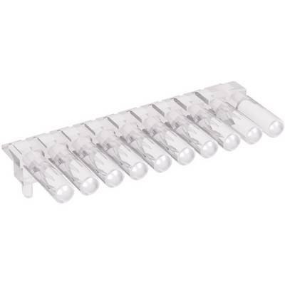 A transparent holder with eight empty plastic test tubes, arranged in a row.