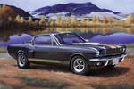 Shelby Mustang GT350H