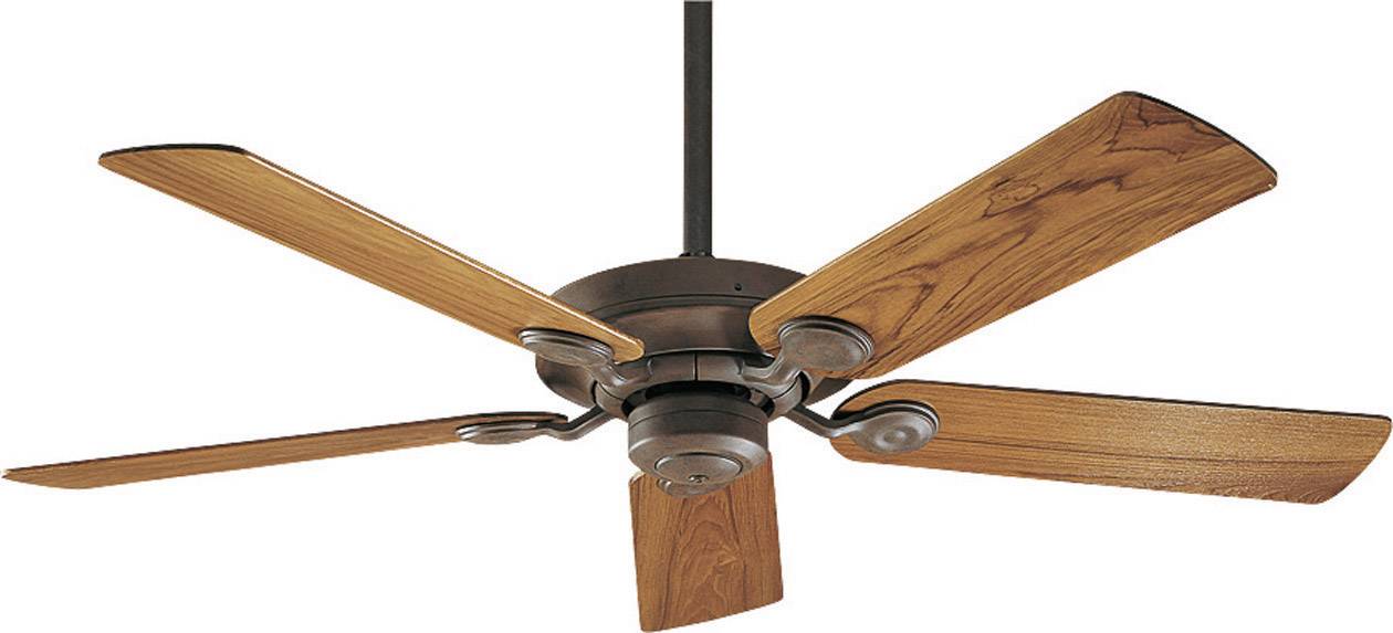 Hunter Outdoor Elements Wbod Ceiling, Hunter Outdoor Ceiling Fan Replacement Blades