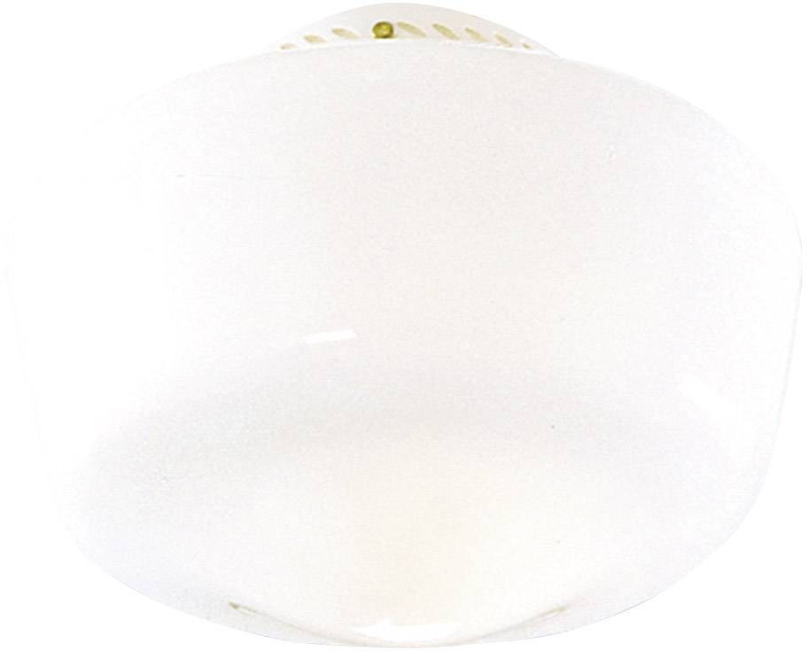 Hunter SCHOOLHOUSE TRADIT. BN Ceiling fan light Opaline glass (glossy