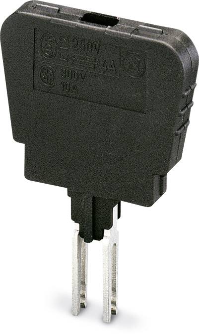 A black, rectangular adapter with metal pins. Inscription: '250V, 10A'. Used for voltage adaptation.