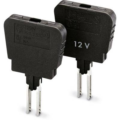 Two black electrical switches labelled '12 V', suitable for voltages up to 250V and 16A.