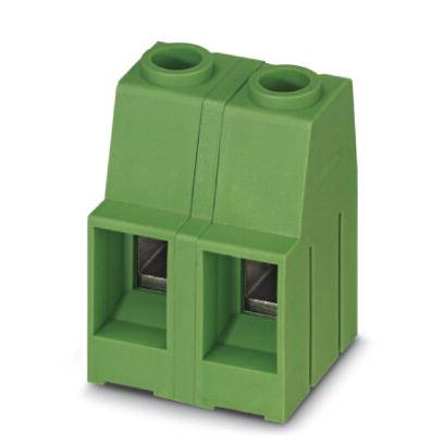 Green two-pole electrical plug block with rectangular connectors. Suitable for electrical connections.