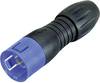 binder 99-9113-60-05 Series 720 Miniature Circular Connector