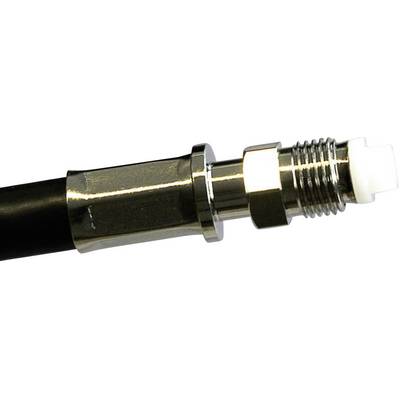 A coaxial cable with a metal F-connector screwed on, suitable for TV and satellite connections.