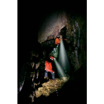 Ledlenser H7R.2 LED (monochrome) Headlamp rechargeable 300 lm 30 h 7398-5