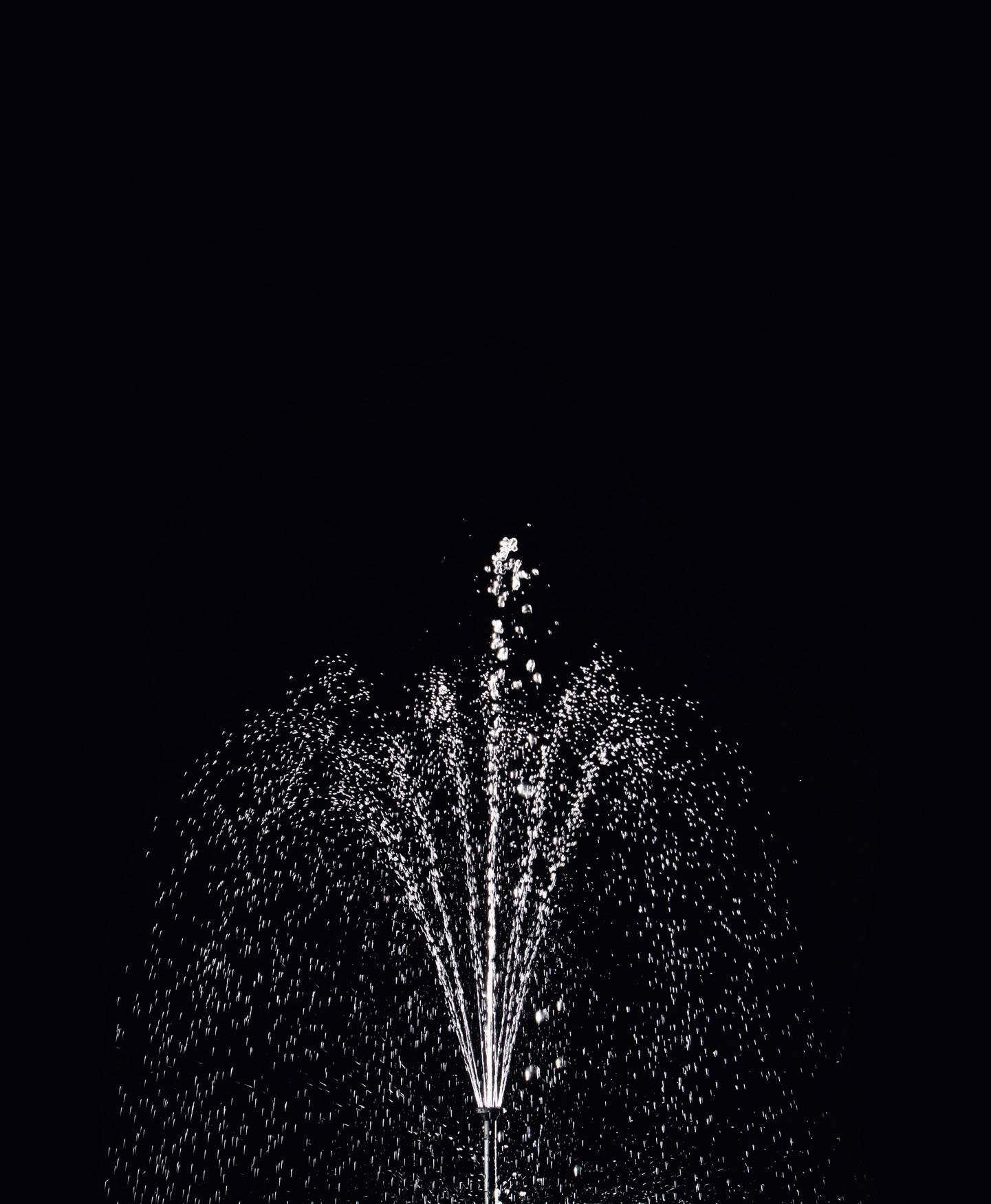 'Water fountain at night; delicate water jets rise in an elegant arc against a black background.'