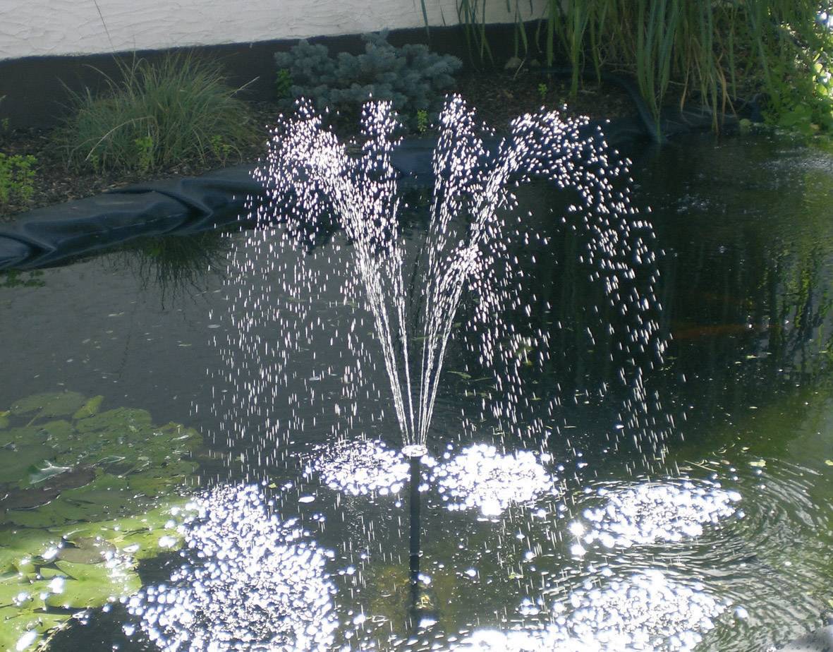 A small fountain sprays water in arches into a pond. In the background, plants and water lily leaves are visible on the water.