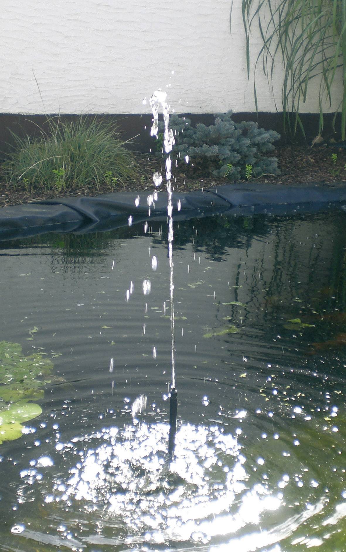 A fountain in a pond, surrounded by plants along the edge.