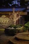 Micro-light chain of lights, welded, 120 clear bulbs
