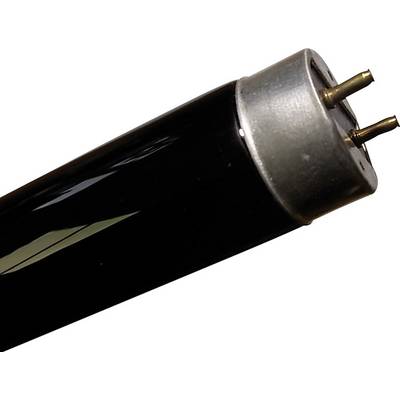 Black, cylindrical object with a metallic end and two pins, possibly part of a tube or electrical device.