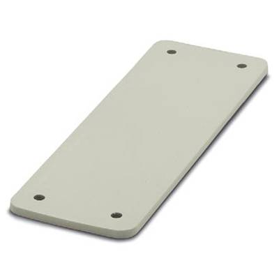Rectangular cover plate made of light-coloured material with four holes at the corners.