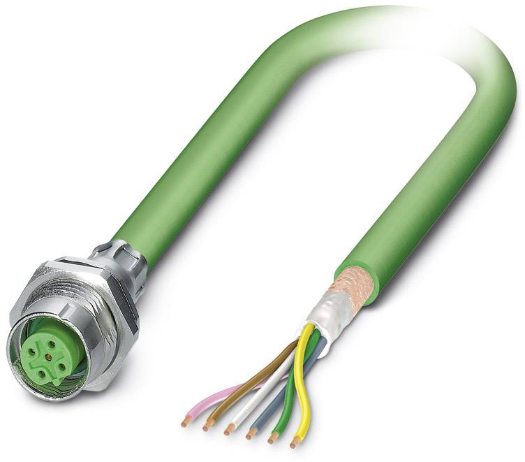 A green, stripped Ethernet cable with multiple colourful connection wires and a metal plug.