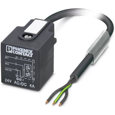 A black relay from Phoenix Contact with 24V AC/DC and 4A, connection options with stripped cables in Black, Blue, Green/Yellow.