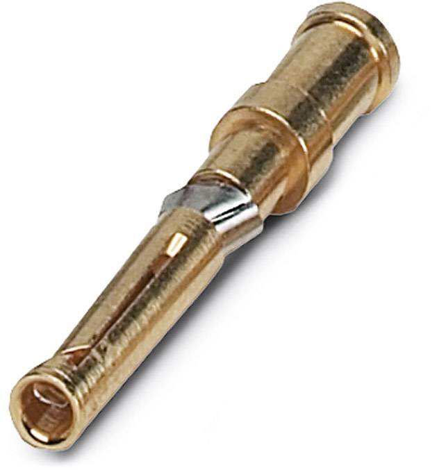 A single, gold-coloured electrical connector pin on a white background.
