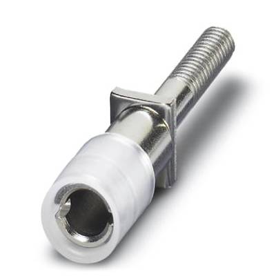Metal screw with plastic sleeve and thread, suitable for furniture or machine assembly, focusing on functionality and material.