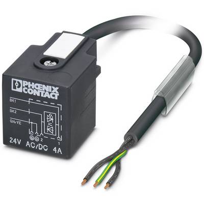 A black electronic component with cables and a circuit diagram showing the 'Phoenix Contact' brand. It has a voltage of 24V AC/DC.