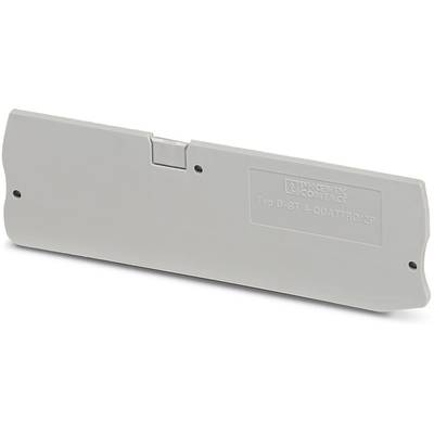 Grey plastic component with inscription 'PHOENIX CONTACT TYP D-ST 1-QUATTRO/2P', presumably a cover or connecting element.