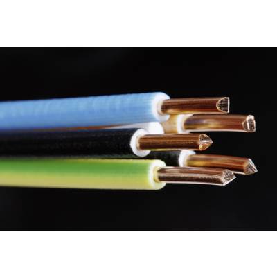 Multicoloured electrical cables with copper wires protrude; close-up against a black background.