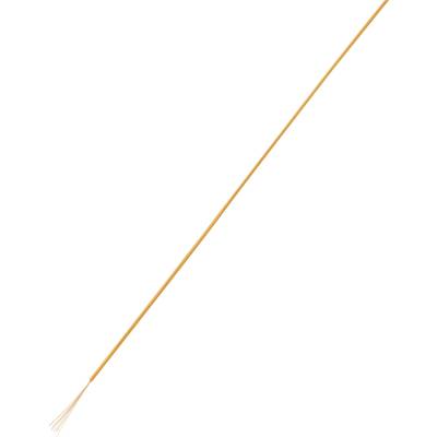 A single orange spaghetti strand on a white background.