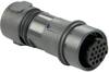 Bulgin PXP6011/03P/ST Bullet connector Plug, straight Total number of pins: 3 Series (round connectors): PXP 1 pc(s)