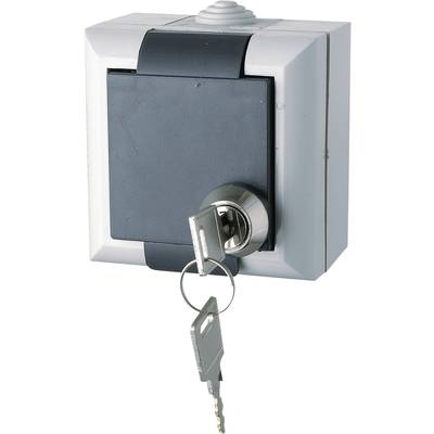 GAO EFO600G/K  Wet room switch product range  PG socket (lockable) Business-Line Grey 