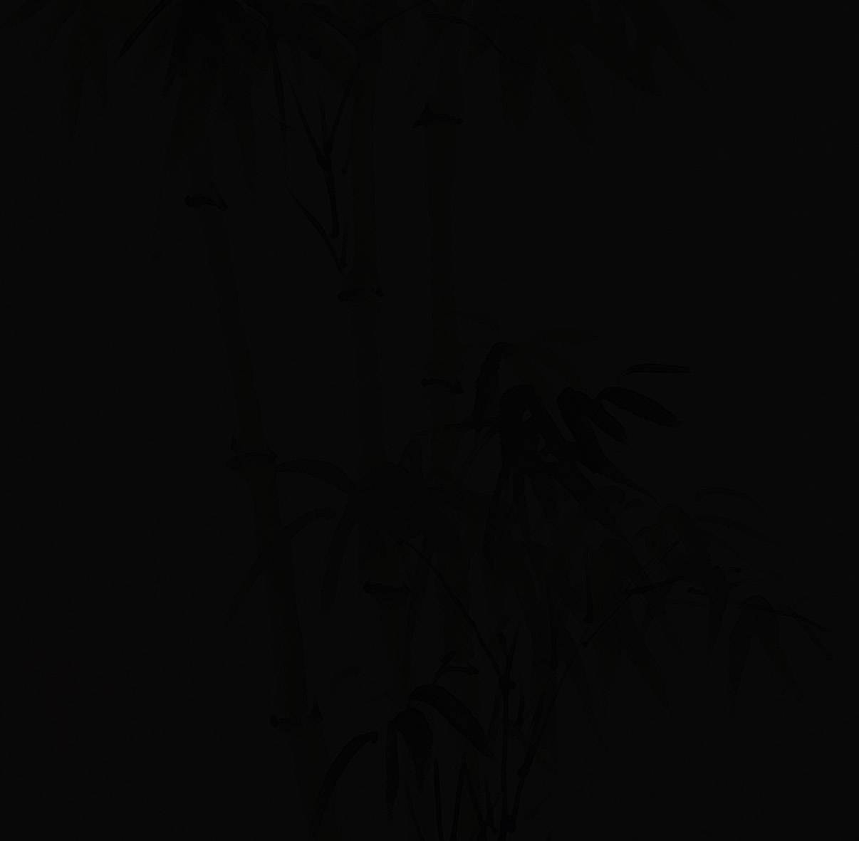 Dark, almost black silhouette of bamboo plants with dense leaves and stems against an invisible background.