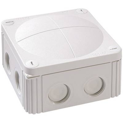 Wiska 10060531 Junction box (L x W x H) 110 x 110 x 66 mm Grey-white (RAL 7035) IP66/IP67 1 pc(s)