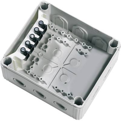 Wiska 10101462 Junction box (L x W x H) 160 x 140 x 81 mm Grey-white (RAL 7035) IP66/IP67 1 pc(s)