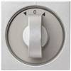 GIRA Cover Shutter switch System 55, Standard 55, E2, Event, Event Transparent, Event Opaque, Esprit, ClassiX Aluminium 066626 1 pc(s)
