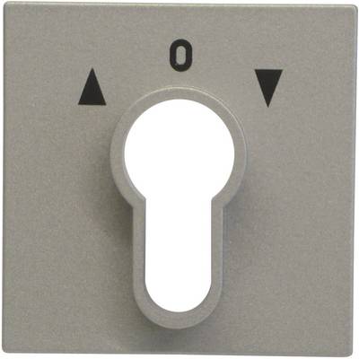 GIRA Cover Key switch System 55, Standard 55, E2, Event, Event Transparent, Event Opaque, Esprit, ClassiX Aluminium 0664-0