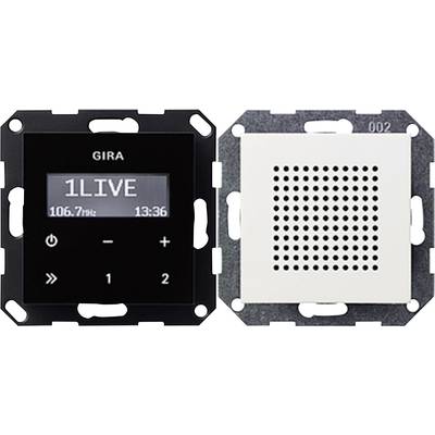 GIRA  Insert Flush-mount radio System 55, Standard 55, E2, Event, Event Transparent, Event Opaque, Esprit, ClassiX White