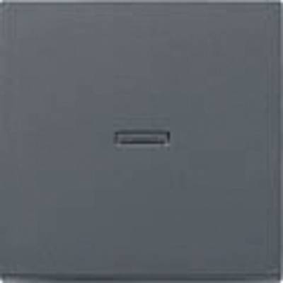 GIRA Cover Control switch System 55, Standard 55, E2, Event, Event Transparent, Event Opaque, Esprit, ClassiX Anthracite-0