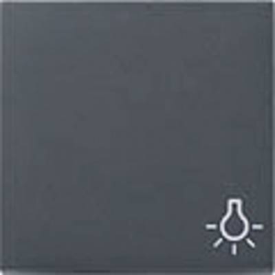 GIRA Switch product range Cover Light symbol toggle System 55, Standard 55, E2, Event, Event Transparent, Event Opaque, -0