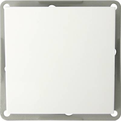 GAO  Insert Switch Modul White EFP100D-WH