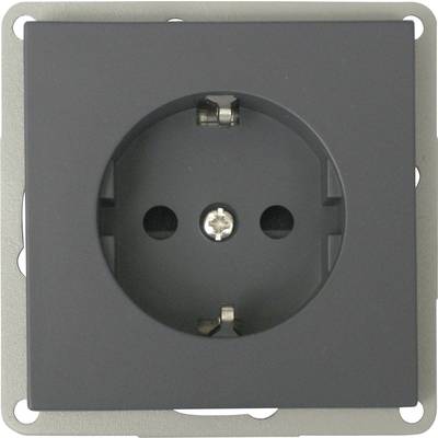 Image of GAO Insert PG socket Modul Black EFP300G-BK