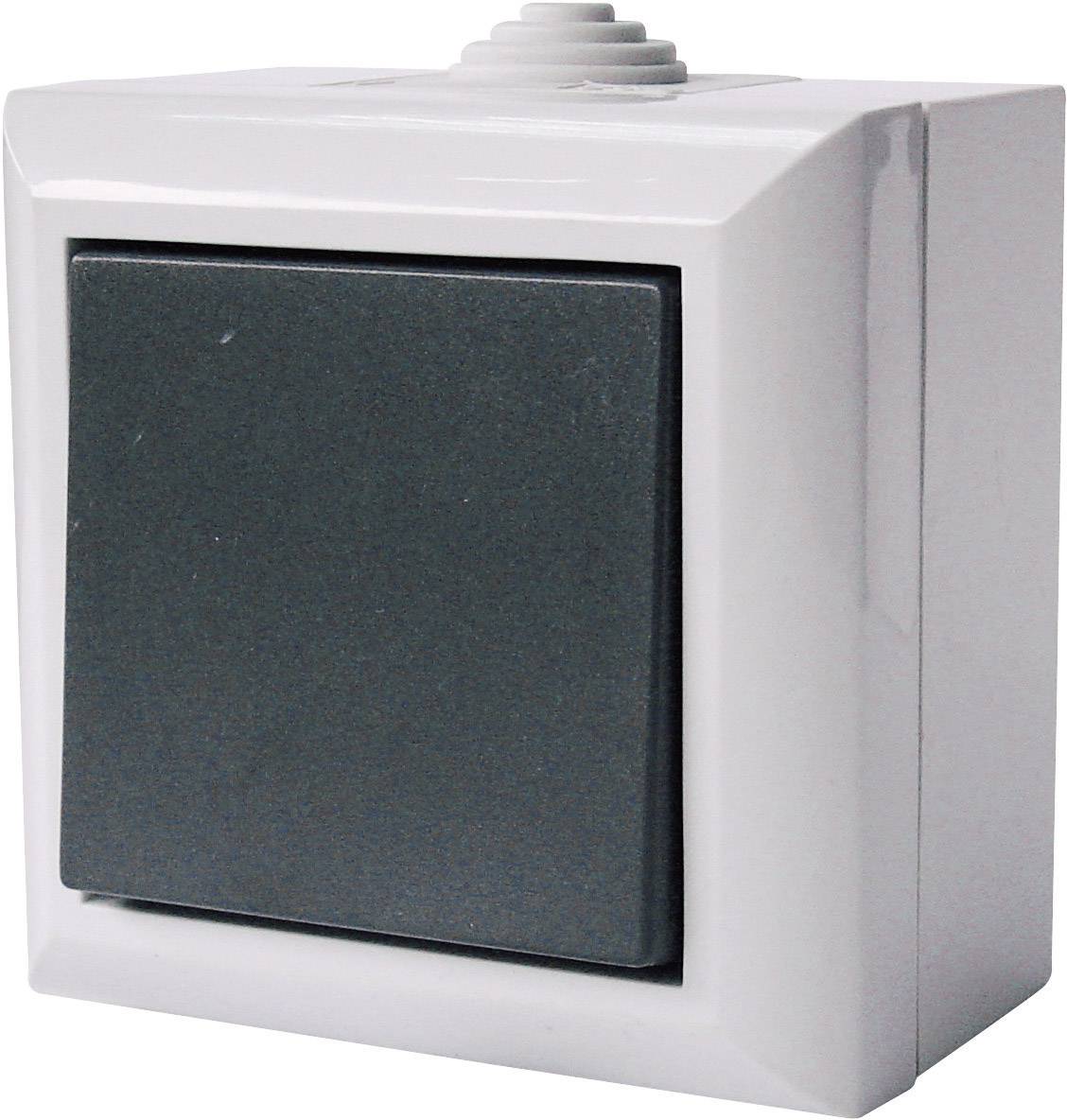 GAO 9160 Wet room switch product range Toggle switch Business-Line Grey 1 pc(s)-0