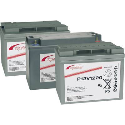Three grey batteries with the inscription 'Sprinter' and 'P12V1220', various symbols underneath. Primarily used for industrial purposes.