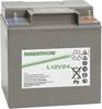 GNB Marathon L12V24 NALL120024HM0MA VRLA 12 V 23.5 Ah AGM (W x H x D) 168 x 174 x 127 mm M6 connector Maintenance-free