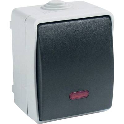 GAO 9876  Wet room switch product range  Control switch Standard Grey 