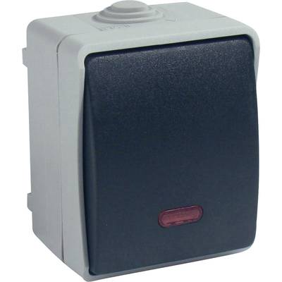 GAO 9877  Wet room switch product range  Control switch Standard Grey 