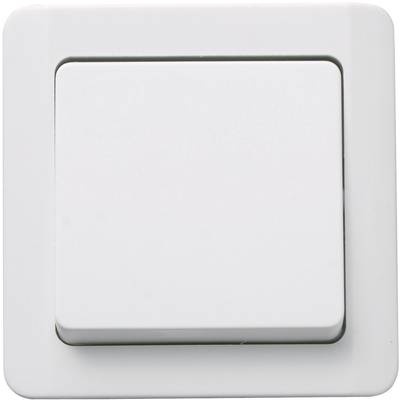 GAO  Insert Toggle switch Nova (surface-mount) White 0325
