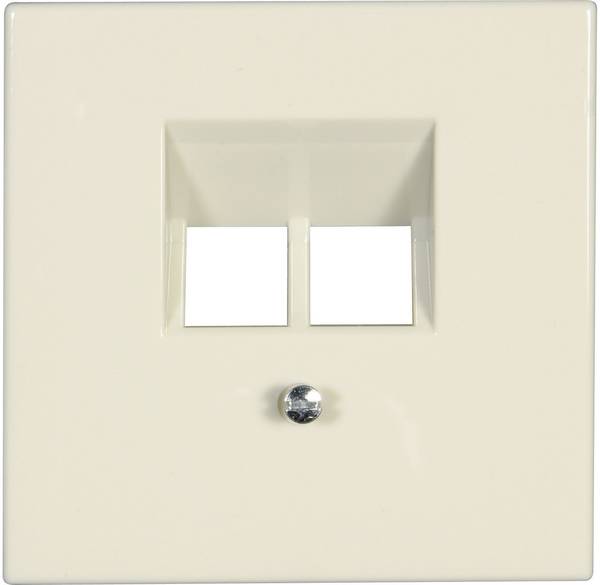 Jung Cover UAE socket LS 990, LS design, LS plus Creamy white LS969-2UA 1 pc(s)