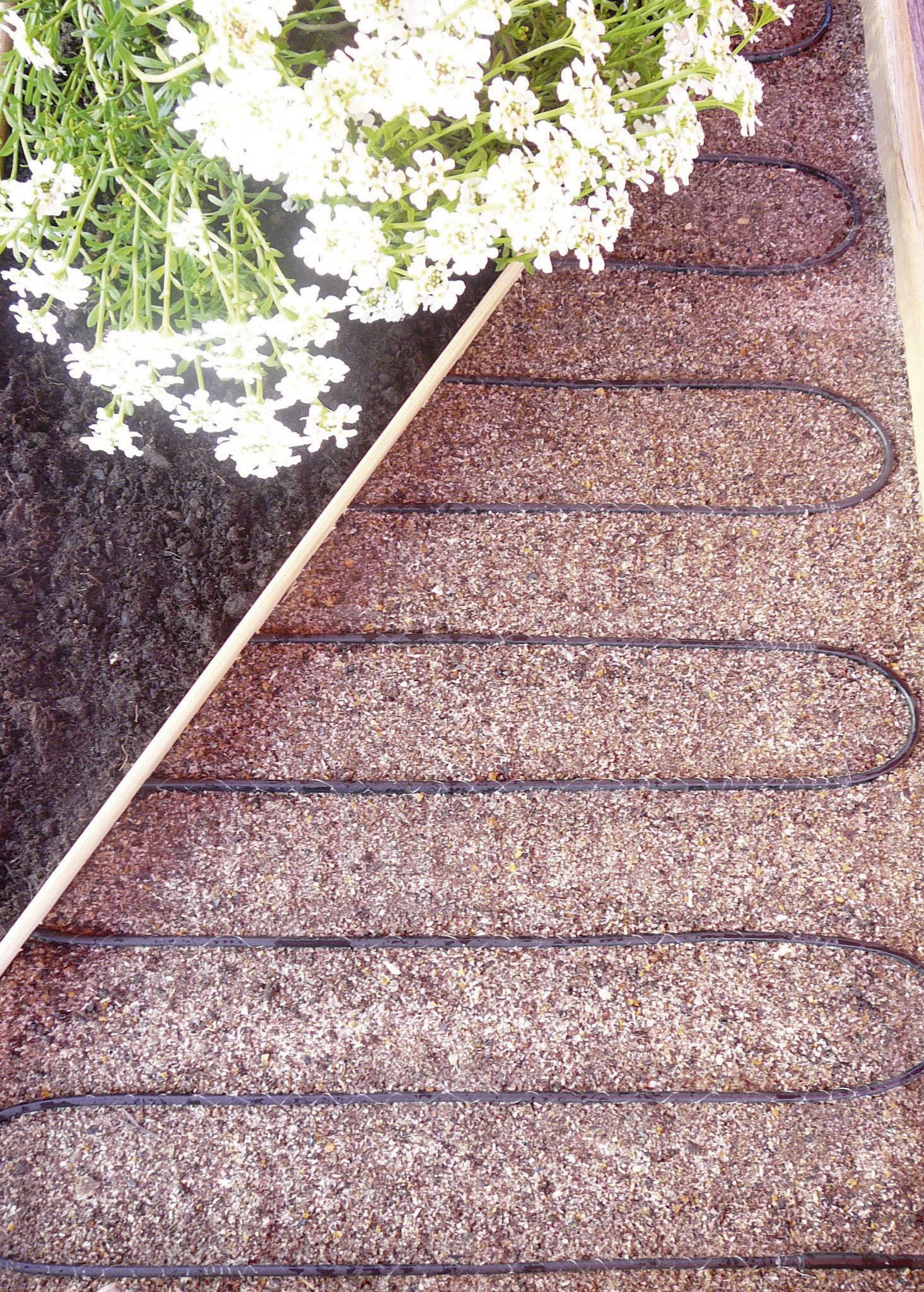 A flower bed with white blooms and alongside it a curved black cable running along a gravel path.