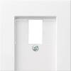 GIRA Switch product range Cover TAE socket System 55, Standard 55, E2, Event, Event Transparent, Event Opaque, Esprit, ClassiX Pure white 0276 03 1 pc(s)
