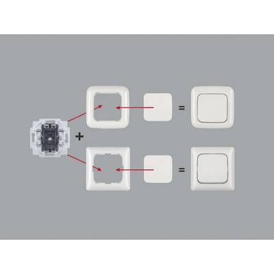 'Diagram shows surface-mounted frame and insert with arrows. Two mounting options for light switches are illustrated.'