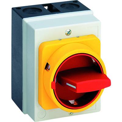 Sälzer M220-61199-077M4 Limit switch  20 A  1 x 90 ° Yellow, Red 1 pc(s) 